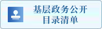 基层政务公开目录清单