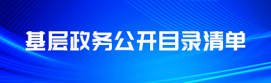 基层政务公开目录清单